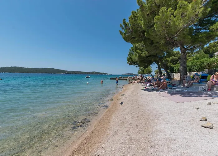 Dragica ז'אבוריץ'